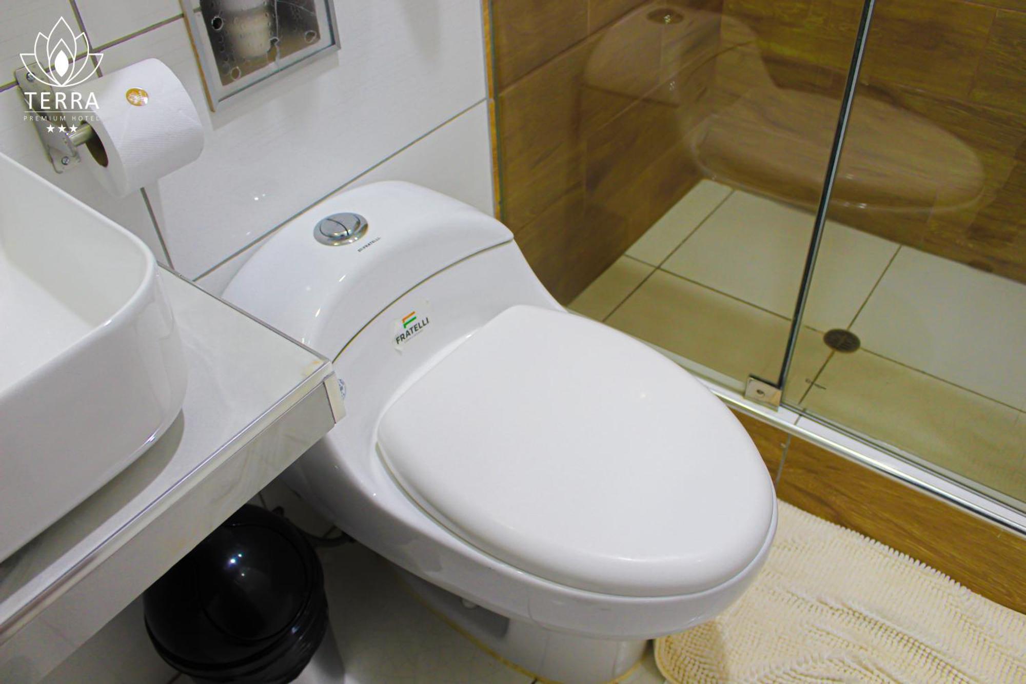 Terra Premium Hotel 瓦努科 外观 照片