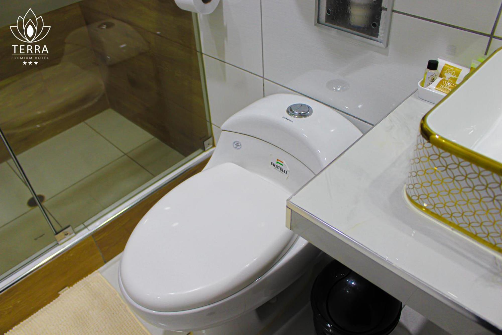 Terra Premium Hotel 瓦努科 外观 照片