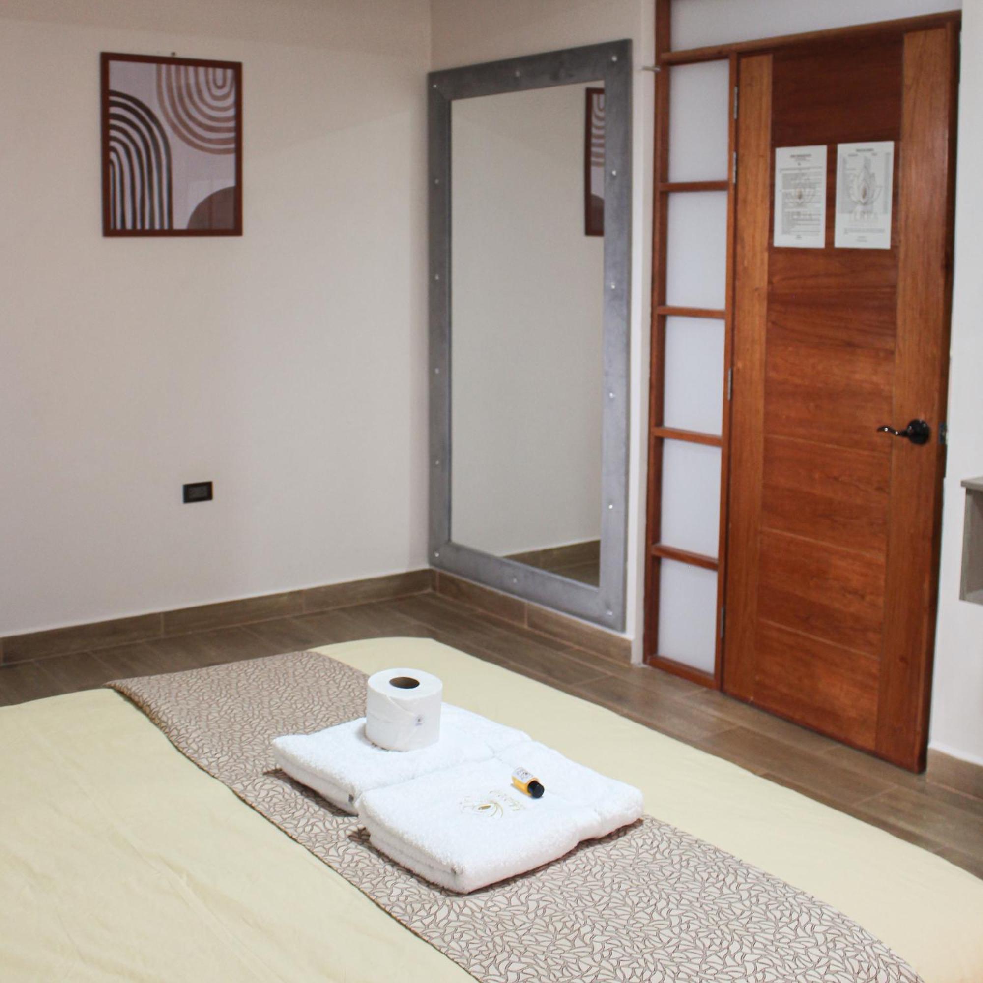 Terra Premium Hotel 瓦努科 外观 照片